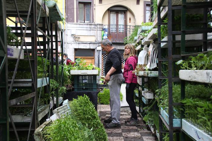 Eta liliek Tolosa ere amets 32 1495290385316