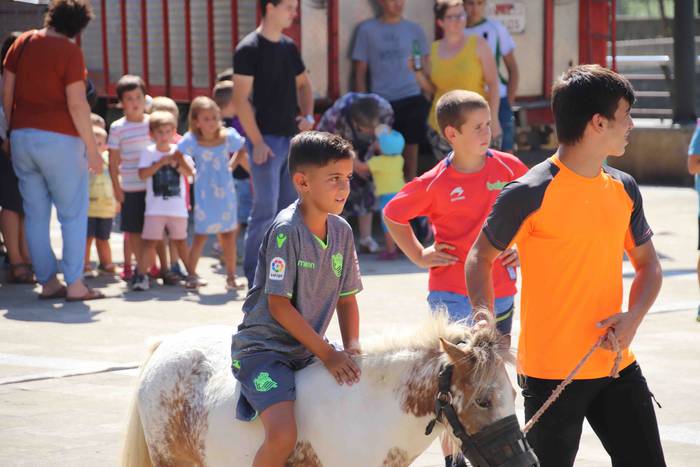 Festak hasteko, poniak eta z 37 1566993992882