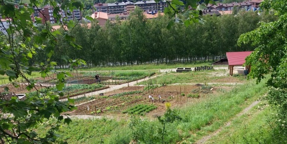 Baratze parkeko partzelen zozketa zuzenean jarraitzeko aukera, ostiralean
