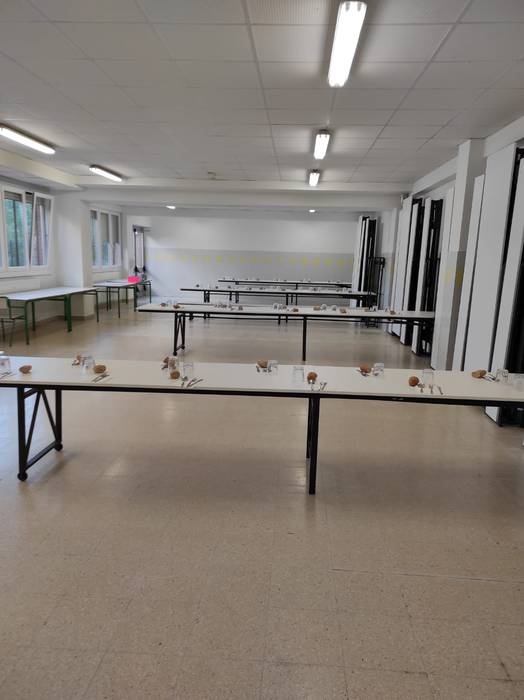 Erniobeako jangela 5 1633448358291