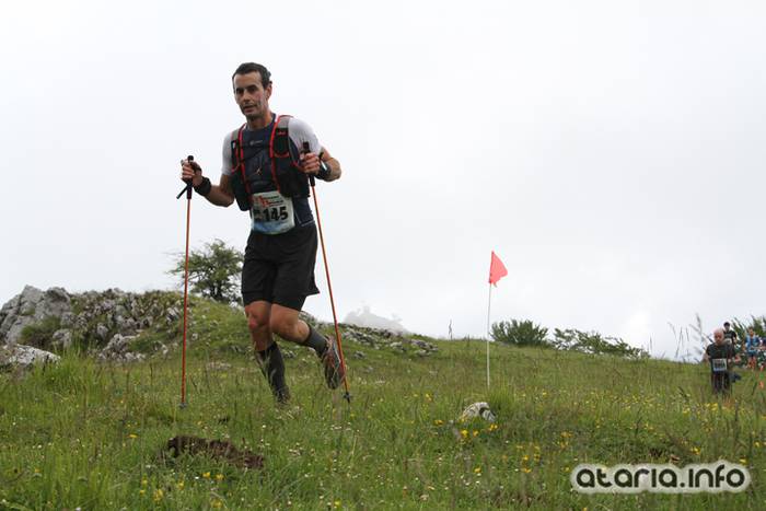 T3T tontor 2016 hernio 59 1466351092115