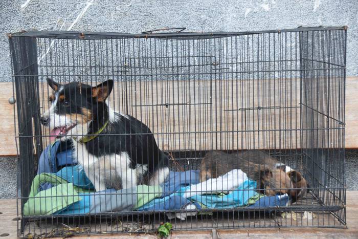 Berastegi hogeita batgarren  24 1572793374363