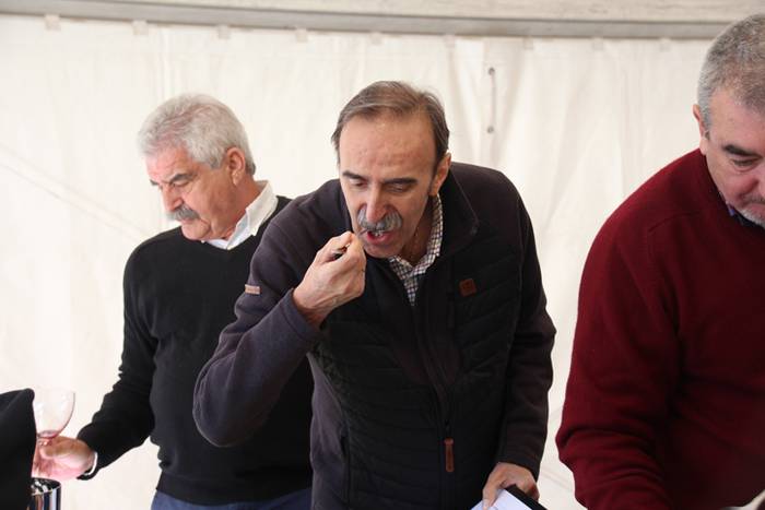 Babarrun platerkada onena, D 64 1511113071907