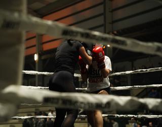 Ring gaineko erakustaldia estreinakoz