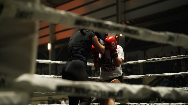 Ring gaineko erakustaldia estreinakoz