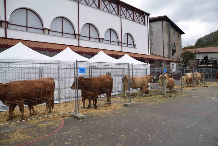 Berastegi hogeita batgarren  20 1572793370753