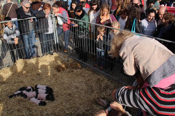 Tolosa Gabonetako Azoka berezia 2015 39 1450532627976