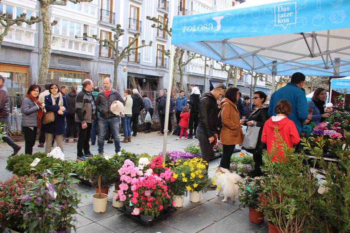 Tolosako Lore eta Landare Az 21 1549717205431