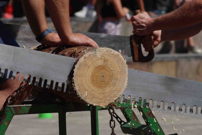 Irabazlerik gabeko pentatloi 31 1661694558060