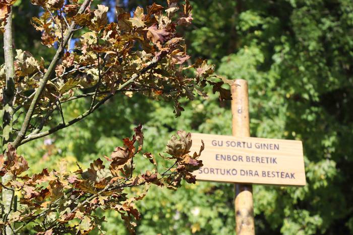 Festak ez du etenik San Este 47 1634470534613