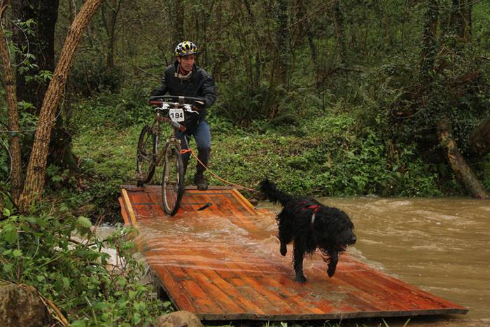 Zizurkil, txakur krosa 13 1490473873571