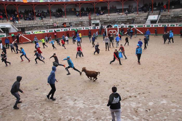 Txikienak zezen txikien aurr 34 1552240893935