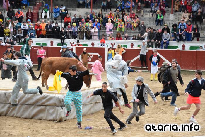 Pattar zezena 2016 65 1455012407992