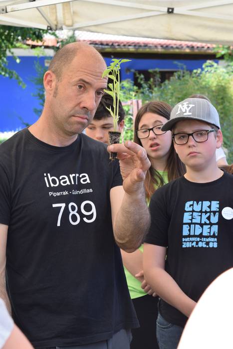 Piper landaketa Ibarran, 201 23 1494844395123