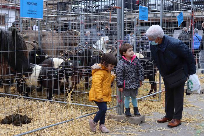 Oholtza gainera igo dira ira 17 1636308515267