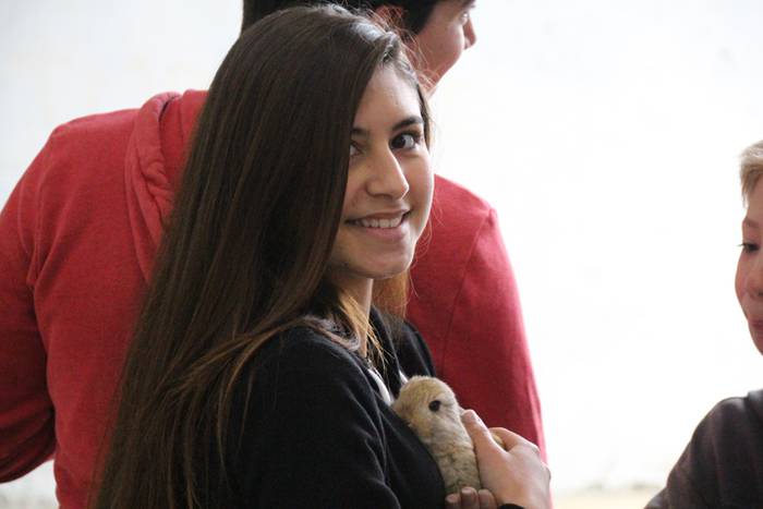 V. Udaberriko merkatua berrobin 14 1463915452638