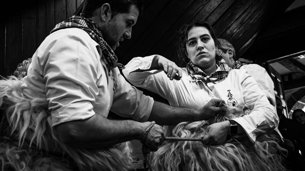 Zubieta (Nafarroa), 2022