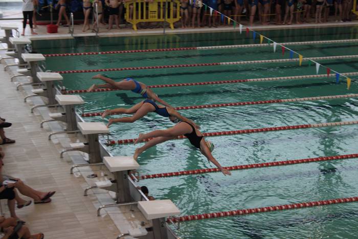 XIX. Paco Sanchez saria 4 1545490849693