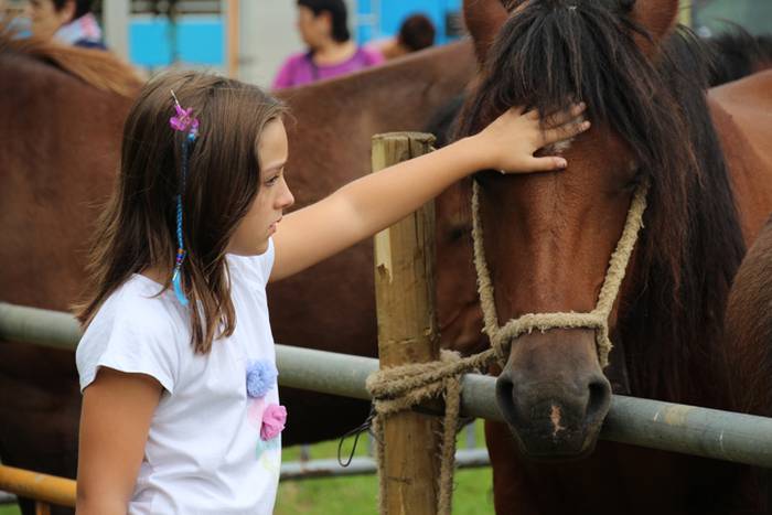 Hutsik egiten ez duen azoka berezia 33 1474813321204