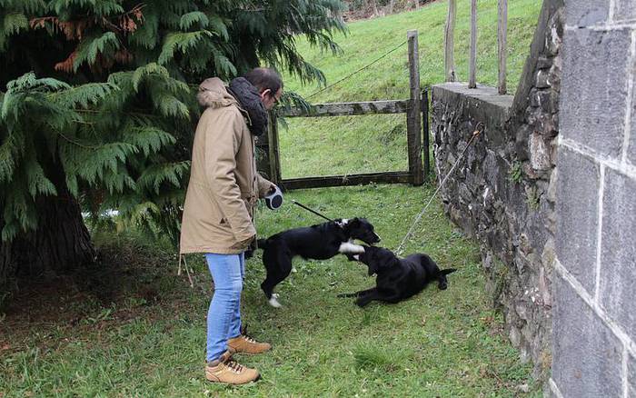 san anton berastegi 2016 1 1453114654830