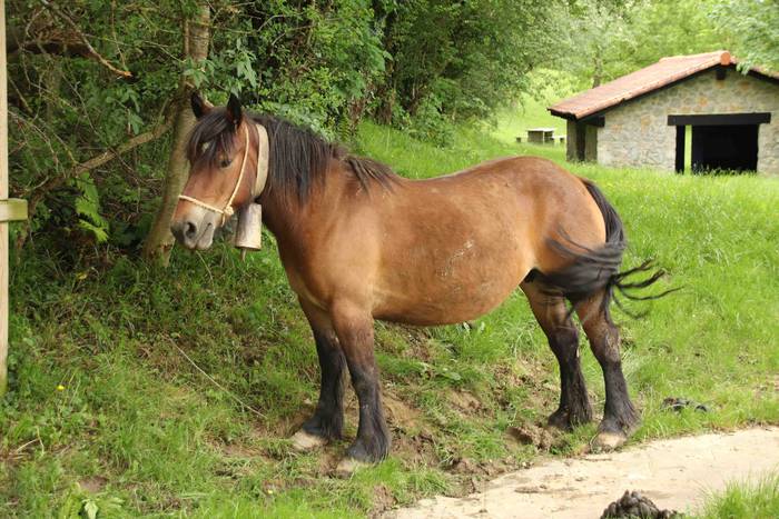 Larre irekiera ekitaldi bere 2 1588336772903