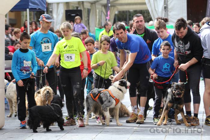 txakur krosa tolosa 2016 3 1458498829505