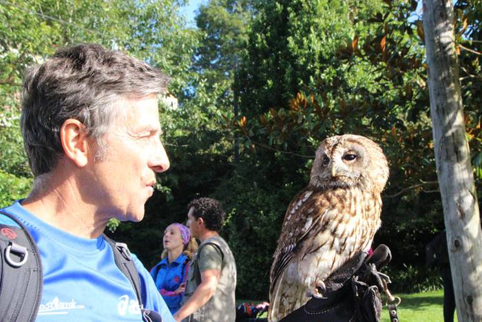 2016 bidea 58 1471776159539