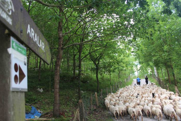 Larre irekiera ekitaldi bere 48 1588336800026