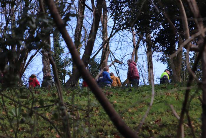 Tolosako ikasleek zuhaitzak  1 1520435404881