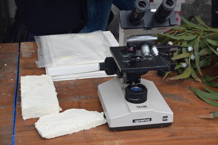 Zuhaitz Azoka, Tolosa, 2017 23 1486819695826