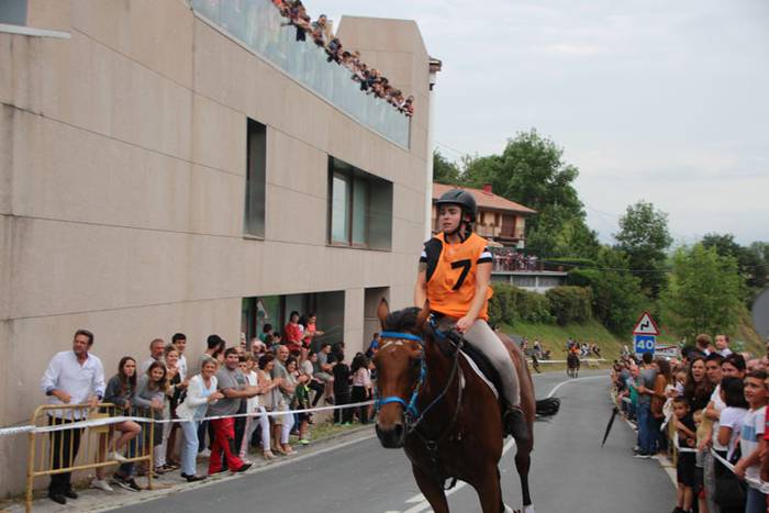 Zaldi gainean lasterka Abalt 22 1498413148937