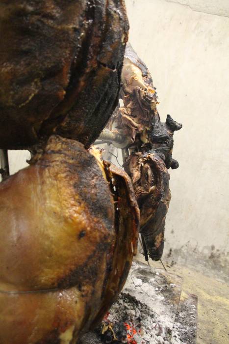 Elikaduratik, kulturatik hai 21 1510501738921