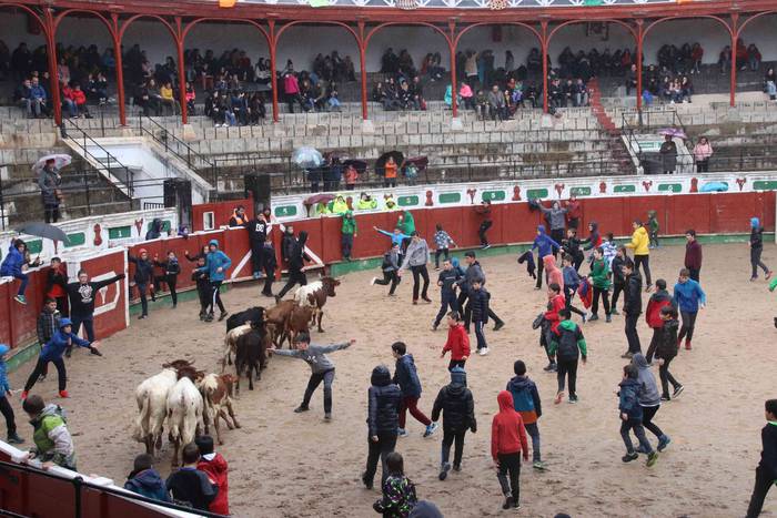 Txikienak zezen txikien aurr 41 1552240900447