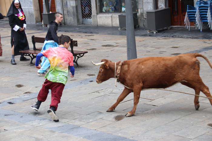 Zezenaren aurrean korrika 7 1551703439676