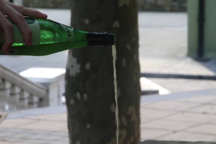 Sagardoz lagunduta jarraitu  10 1504375612141