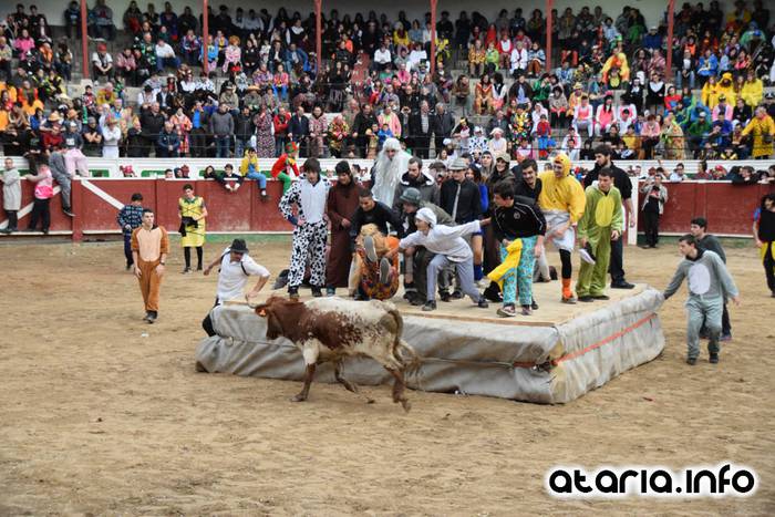 Pattar zezena 2016 25 1455012390710