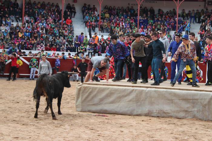 Inauteriak 2020, zezenak Ost 25 1582222553493