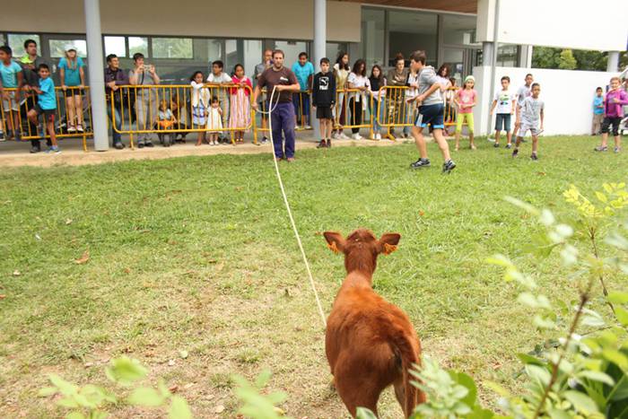 Ikaztegietako Jaiak 2017, um 6 1502457183817