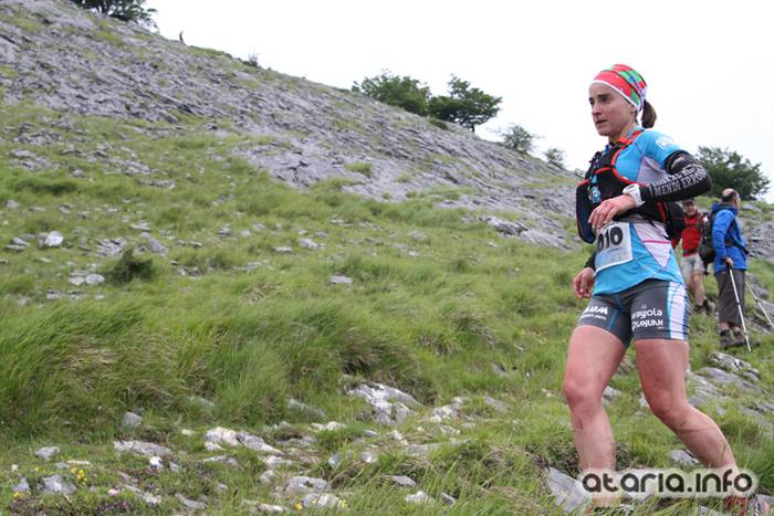 T3T tontor 2016 hernio 72 1466351096668