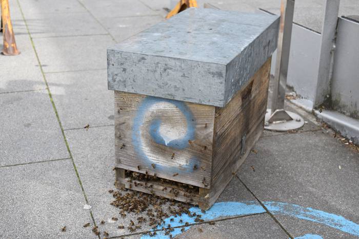 20.000 erle inguru Usabalen 1 1493910654623