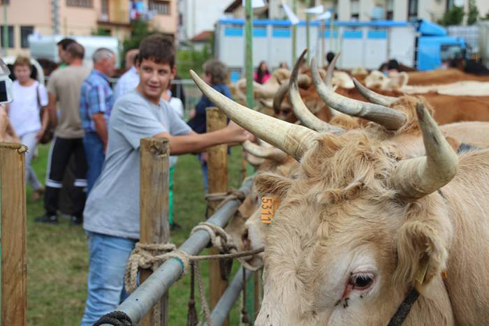 Hutsik egiten ez duen azoka berezia 37 1474813367995