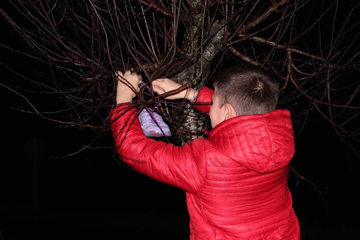 Bidania-Goiatz A25 30 1574672755067