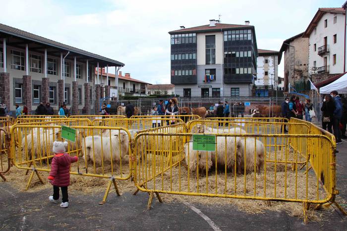 Berastegiko gaztarik onena A 2 1608397893658