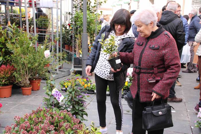 Tolosako Lore eta Landare Az 13 1549717198712