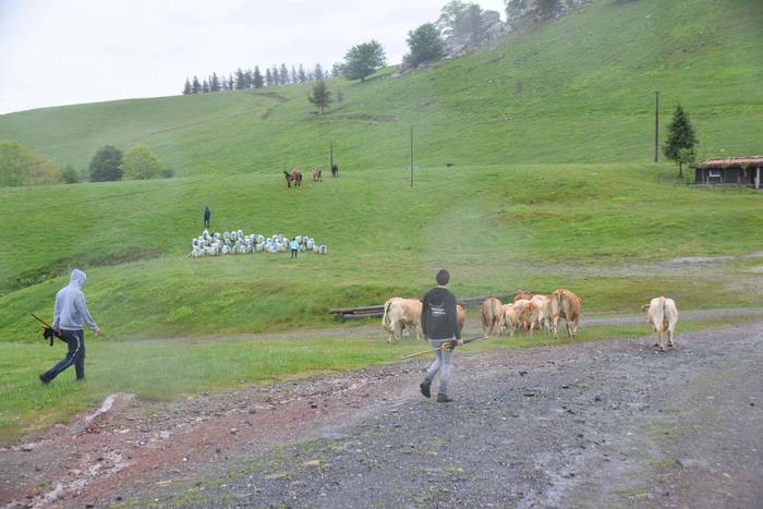 Larre irekiera Berastegi 202 19 1621072178793