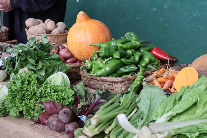 Herriko baserritar eta artis 10 1602415851676