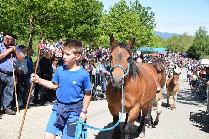 Larrerati dituzte abereak Ar 52 1556716321953