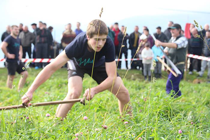 AMASA SAN MARTINAK. SEGA DES 23 1511014615134