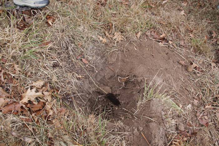 Eskola txikiak eta ner group 39 1447508275694