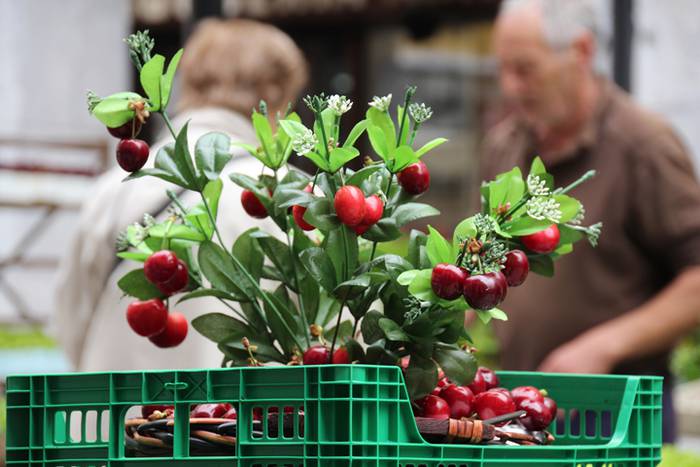 Lore eta Landare Azoka Tolosan 2016 10 1465051785715